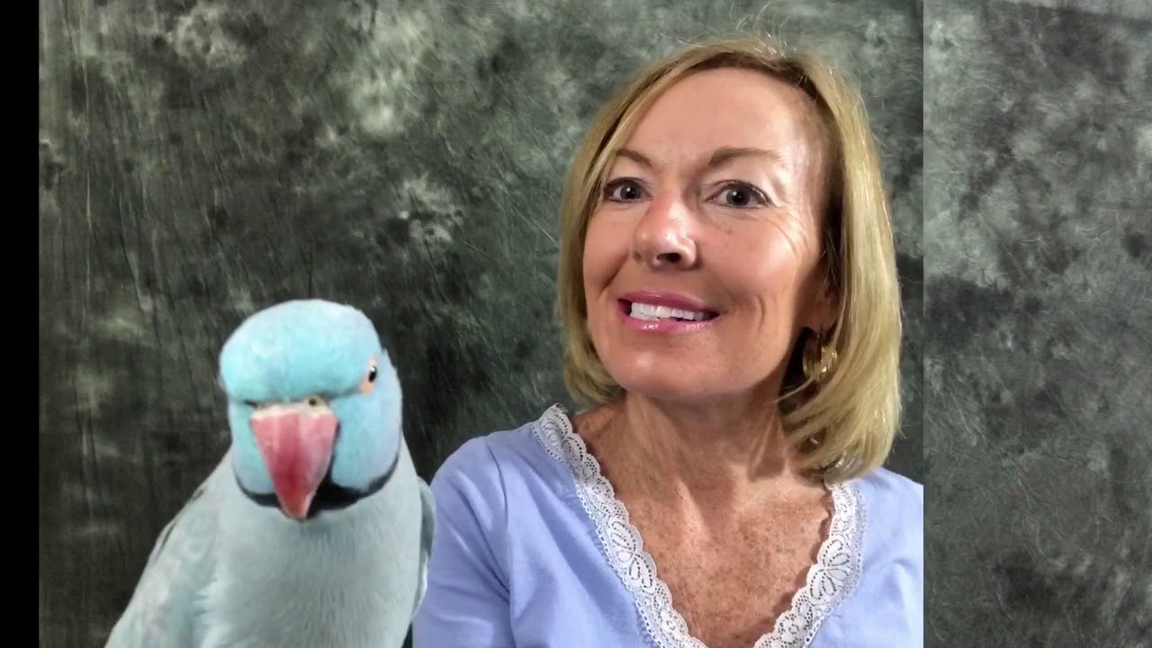 Showing a home with pets