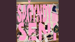 sağyndym senı - almatydenim