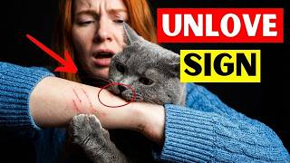5 Signs Your CAT DOESN'T LOVE You (Even If You Think They Do)