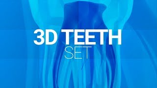 3D Models of Human Teeth - After Effects Template