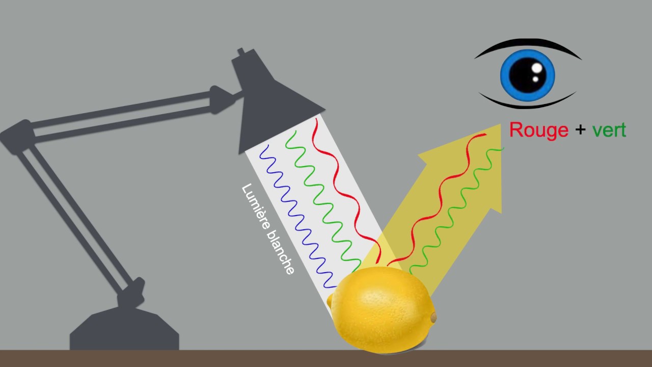 3min La couleur des objets