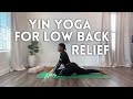 20 Minute Yin Yoga for Beginners| Yin Yoga for Low Back