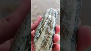hidden crystal inside in river a lot of stones finding rare stones #crystalstone #rockcrystal