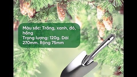 Xẻng làm vườn inox l Dụng cụ làm vườn l Giải pháp nông nghiệp