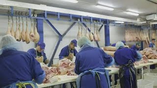 Meat plants call for PPE amid growing COVID-19 concerns