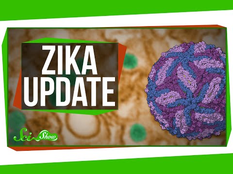 Another Zika Update & Quantum Physics Gamers thumbnail