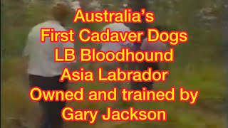 EP 14. Australia's first Cadaver dogs from Multi National K9