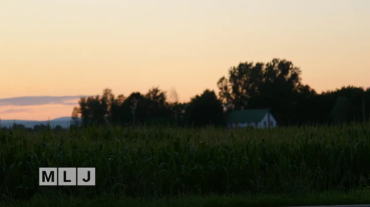 Domestic Violence Cases Rise During the Pandemic