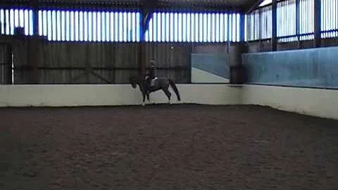 Training with Limo . December 2012