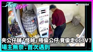 東張西望｜夾公仔舖離奇失竊案！賊人目標竟係偷走CCTV？｜TVBUSA｜民生