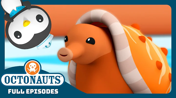 @Octonauts - 😱 The Venomous Cone Snail 🐌 | Season 3 | Full Episodes | Cartoons for Kids
