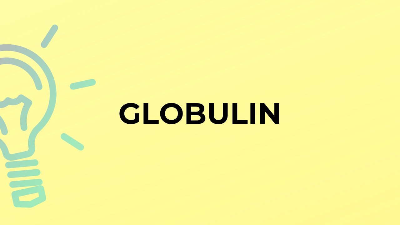 What is the meaning of the word GLOBULIN?