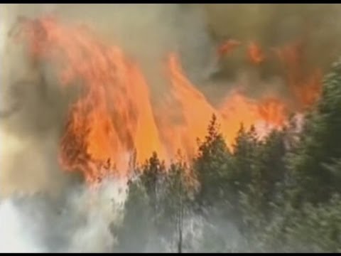 Скрипты для новостей на сайт