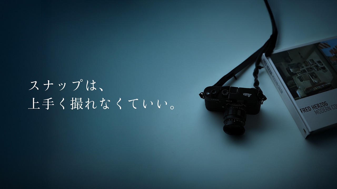 希少！カメラ好き必見です。 The Charm of the Nikon Zf: Once I Stopped Trying to Take 