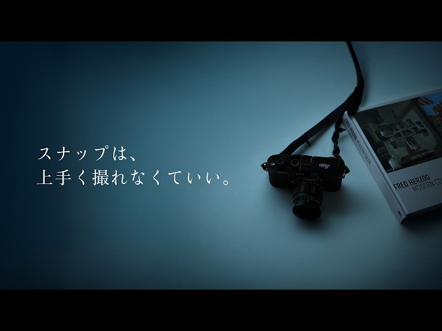 The Charm of the Nikon Zf: Once I Stopped Trying to Take 