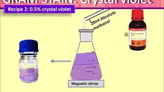 Gram stain: Preparing Crystal Violet