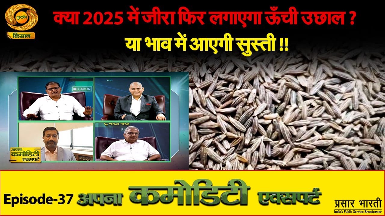 Apna Commodity Expert | क्या 2025 में जीरा फिर लगाएगा ऊँची उछाल ? या भाव में आएगी सुस् |May 23, 2025