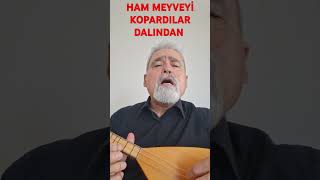 Ham Meyveyi̇ Kopardilar Dalindan