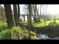 (NEW)Peaceful River Flowing under the bridge, Birds chirping, Early Spring Germany, ASMR, 4K, 1 hour