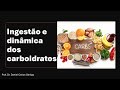 Carboidratos e Glicogênio: armazenamento, uso no exercício e relação com fadiga