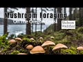 Mushroom Foraging on the Oregon Coast - Spring 2024