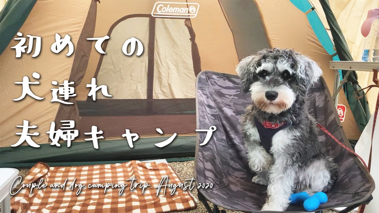 【真夏camp】初めての犬連れ夫婦キャンプ2020｜富士満願ビレッジファミリーキャンプ場