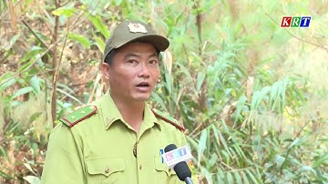 Tăng cường công tác phòng cháy chữa cháy rừng trong mùa khô