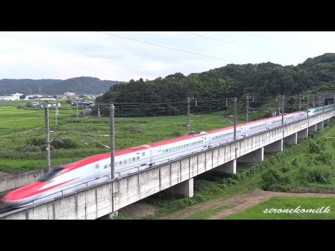 KATO 東北秋田新幹線E5,E6 17両フル編成「バラ売りOK！」 KATO 東北秋田新幹線E5,E6 17両フル編成「バラ売りOK！」