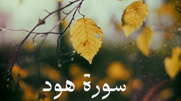 سورة هود كاملة للشيخ هاني الرفاعي بصوت عذب و جميل و تلاوة رائعة و بدقة عالية ... توقف و أرح قلبك