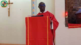 Palm Sunday | Homily by Fr. Chanda Shula OFM Cap