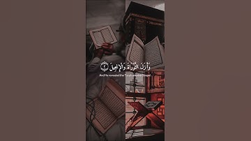 سورة آل عمران || القارئ عبدالرحمن مسعد #عبدالرحمن_مسعد #سورة_آل_عمران