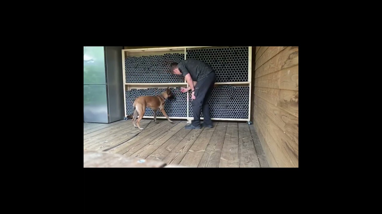 Gedragstherapie en detectie training 