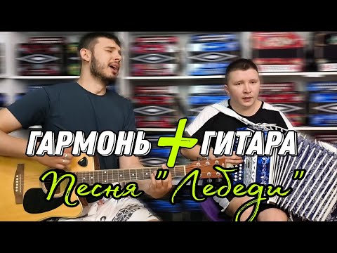 "ЛЕБЕДИ" В. Агафонов. Мега дуэт гармони с гитарой! #гармонь #купитьгармонь #гармошка