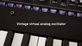 KORG Dense by Sinevibes - promo video