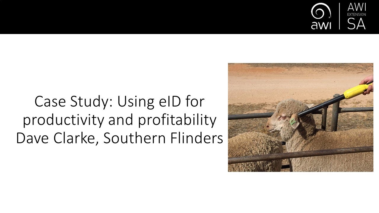 Case Study: Using eID for productivity and profitability in the Southern Flinders with Dave Clarke