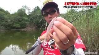 杉戸繁伸-初秋野池-ジャスターシャッド解説