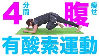 4分間お腹痩せ有酸素運動！自宅でお腹の脂肪をスッキリ落とす！ #ダイエット女子 #タバタワークアウト