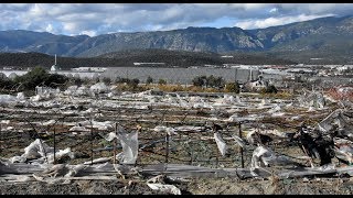 Demrede Hortumun Zararı 11,7 Milyon Lira