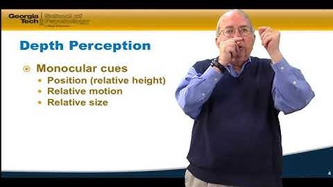 Psychology as a Science | 5   5   Lecture Video 3 5 Depth Perception