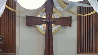 Pax Christi Live Stream