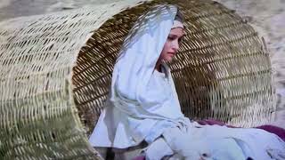 The Visitation (Jesus of Nazareth by Zeffirelli)