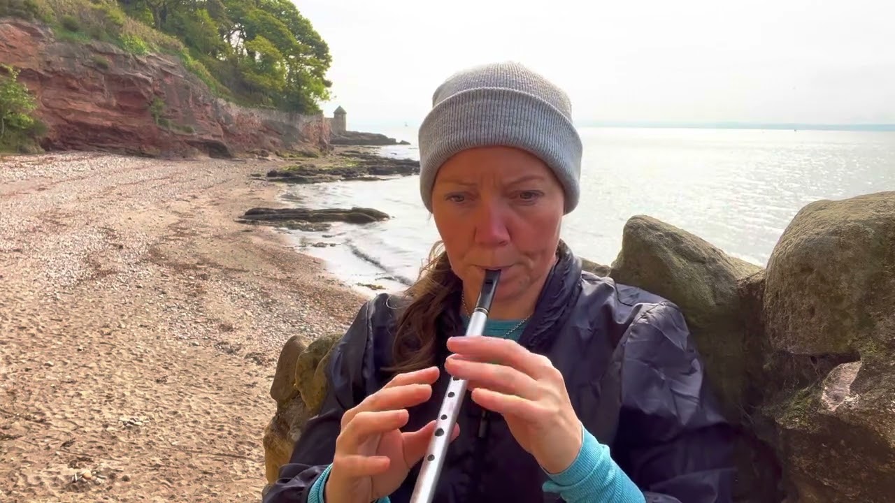 The Boyne Hunt -Irish reel on the Penny whistle