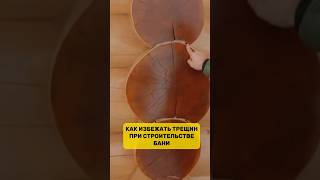 Как избежать трещин при строительстве бани? Лунный паз