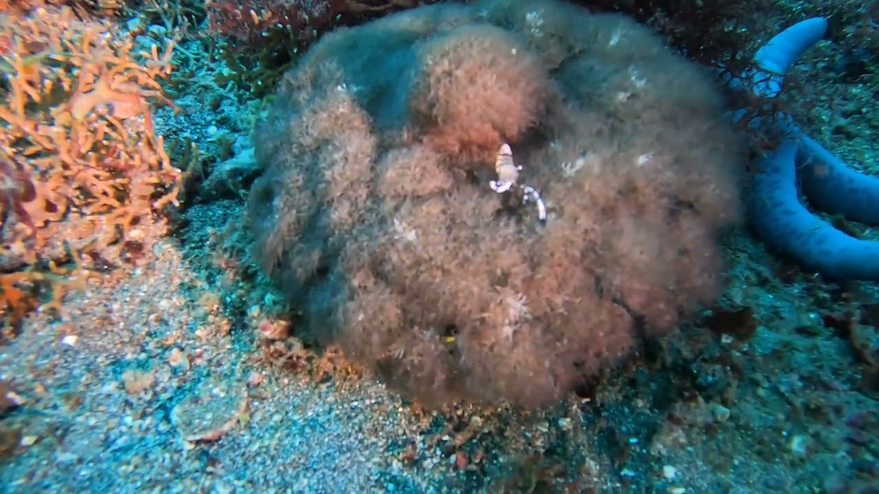 P2P25: Chad L. - Video 6