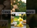 Секрет спокойного утра 🤫