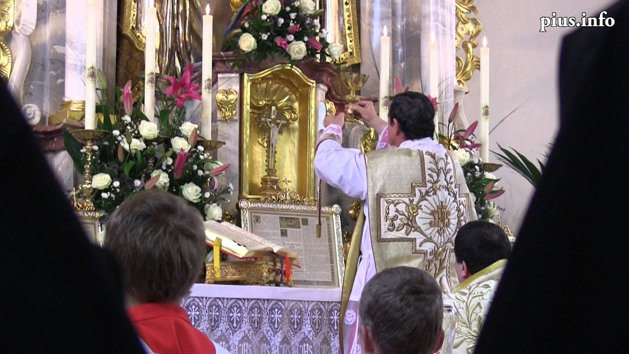 Hl. Papst Pius X. – Verteidiger des katholischen Glaubens