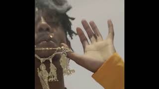 Playboi carti Vlone Clip