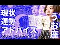 うお座さん5月16日から31日の運勢・アドバイス🍀*゜タロット占い