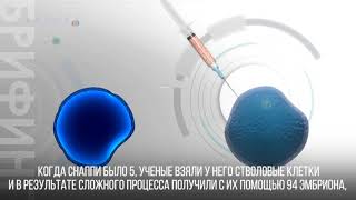 Клонированную собаку… снова клонировали! Клонированную собаку… снова клонировали!