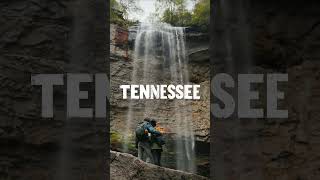 Introducing Tennessee Real Seal